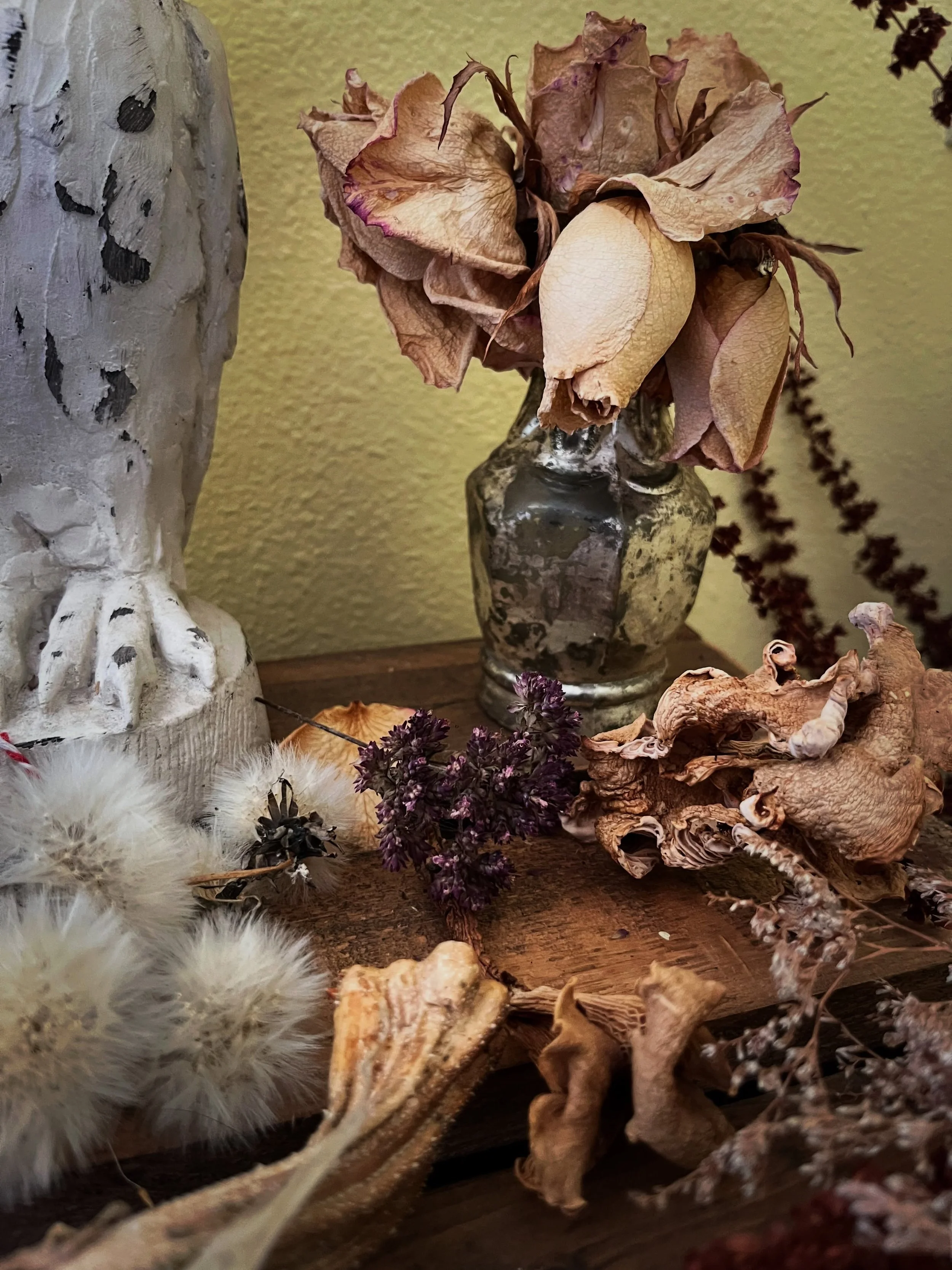 Tell me you&rsquo;re a witch without telling me you&rsquo;re a witch 😁

I love the sun and the flowers and the trips to the river, but part of me is always waiting for autumn. 

#witchyways #cottagewitch #darkcottagecore #alittlewitchy #witchhouse