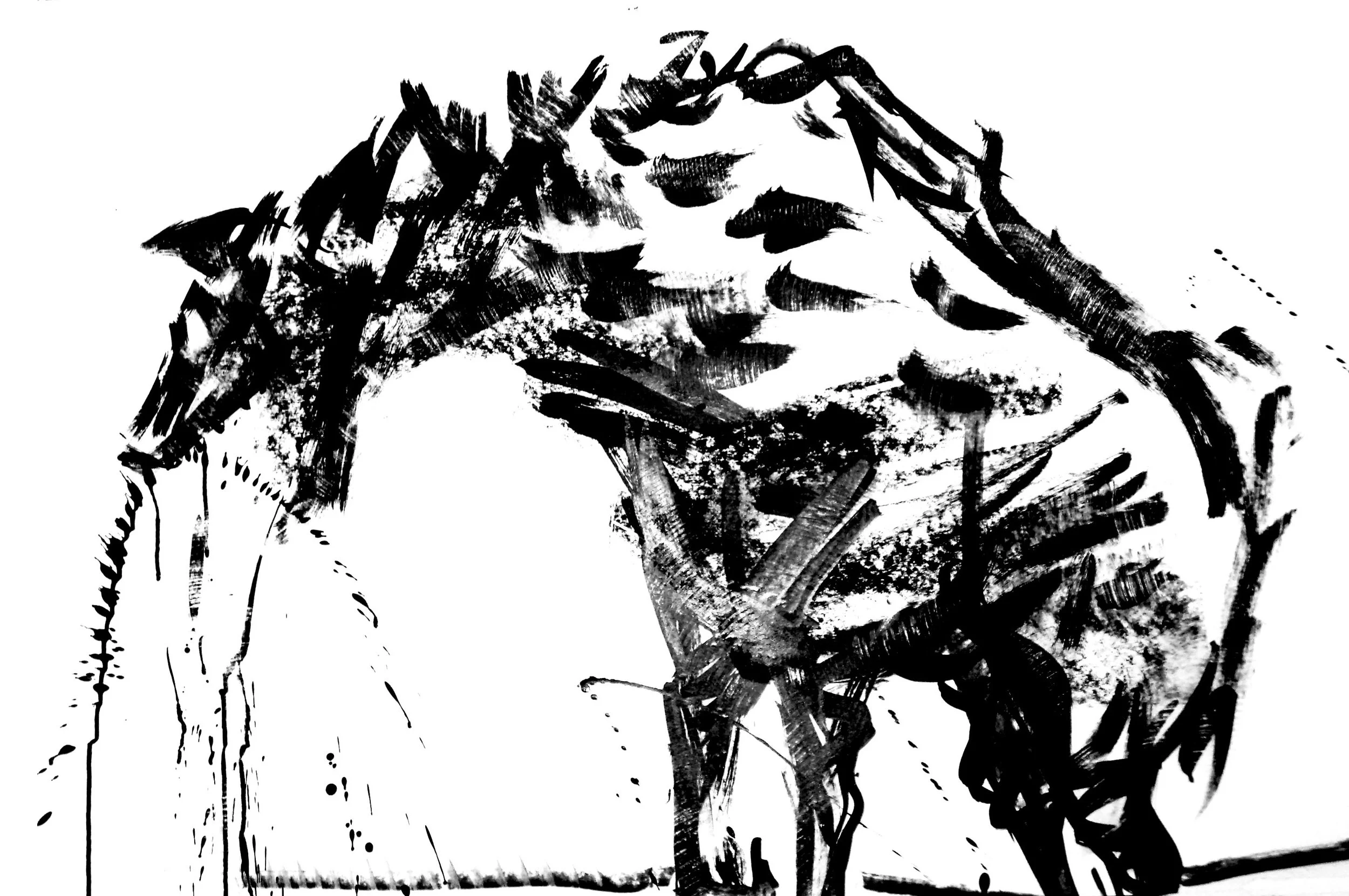 3389005458_57d1cb7e1e_o - Copy.jpg