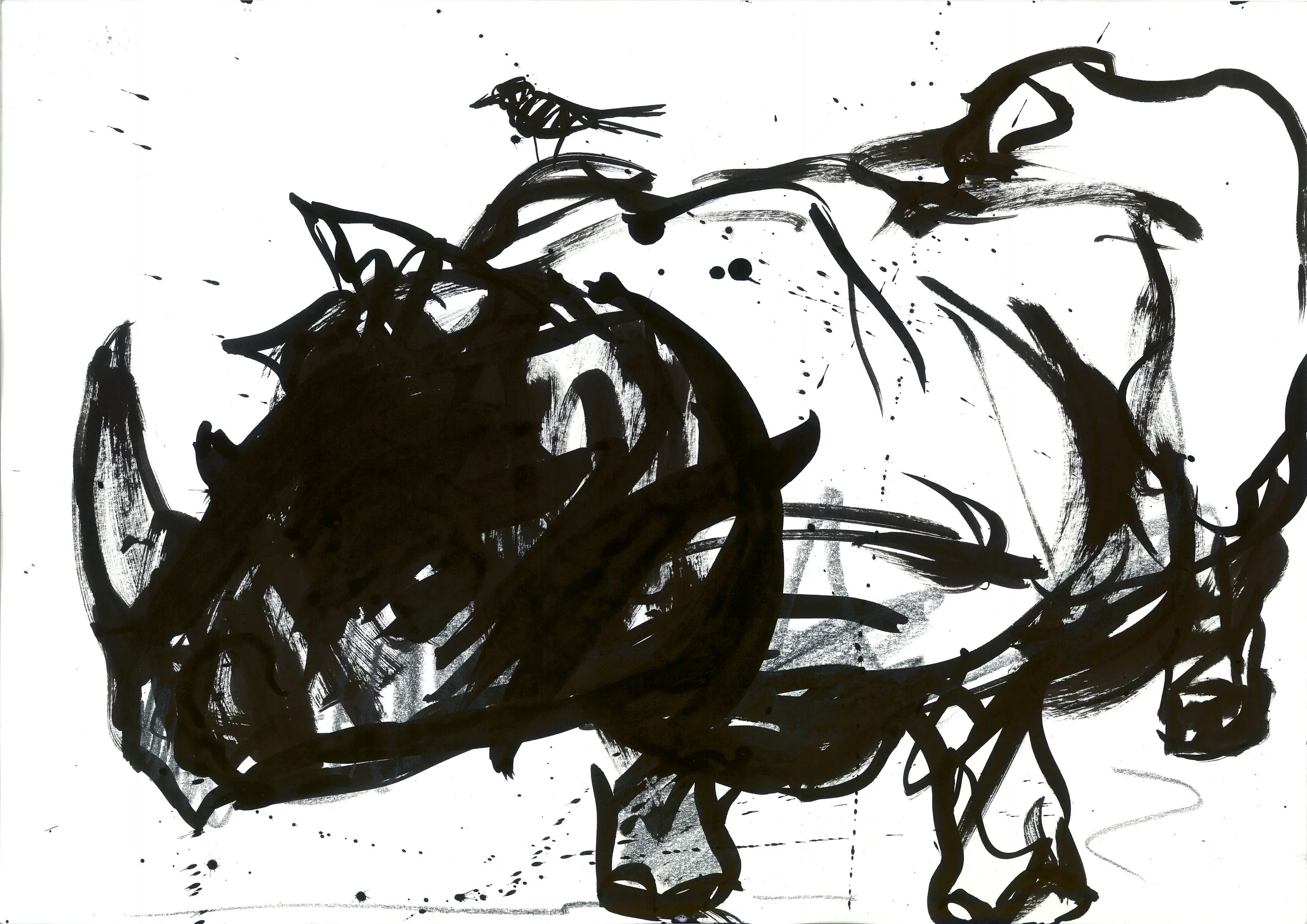 rhiino ink 2.jpg