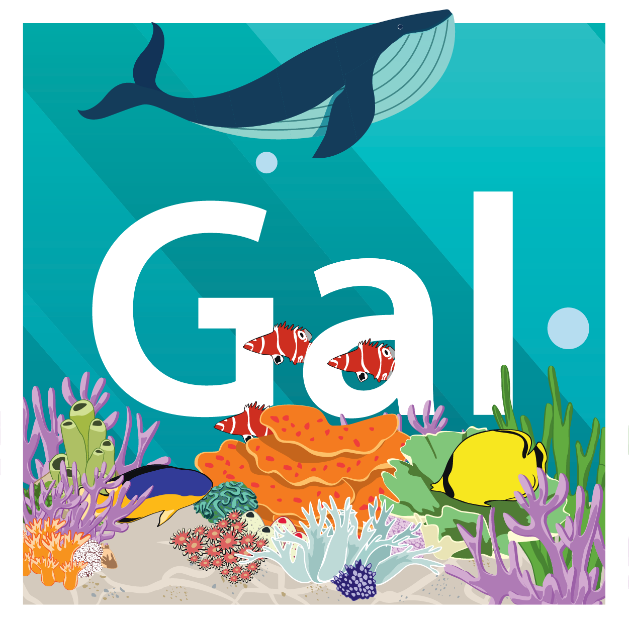 Celebrate #WorldOceansDay with Gal! Check out the free stock video below.