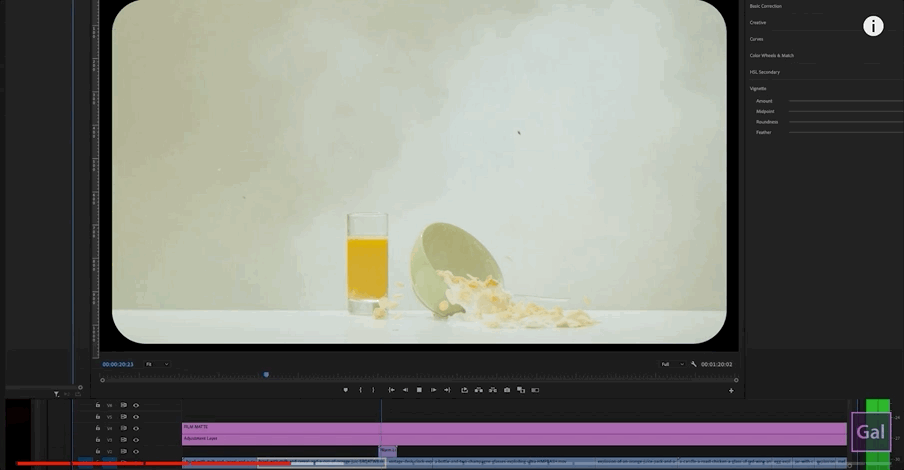 How to Create a GIF In Premiere Pro Easily 