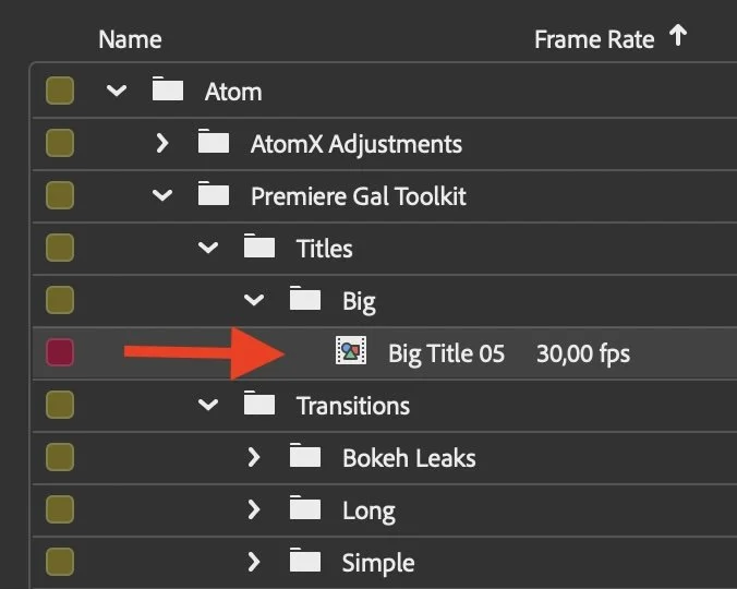 ATOMX 3.2.0 Update for Gal Toolkit — Premiere Gal
