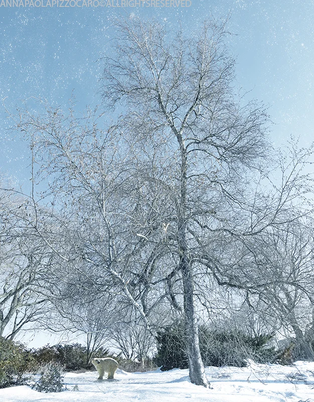 Underabiggtree.jpg