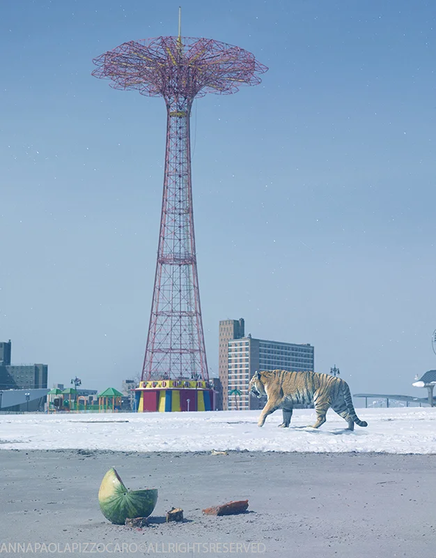 WanderinginConeyIsland.jpg