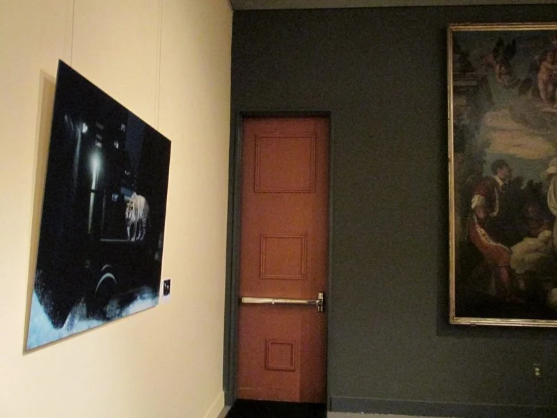 Solo Exhibition at the Italian Embassy in Washington D.C. March 20 - May 22, 2014, Italian Embassy in Washington, Solo Exhibition "Unanswered Preyers, a journey through new worlds in wonders", 3000 Whitehaven St NW, Washington, DC 20008, USA.