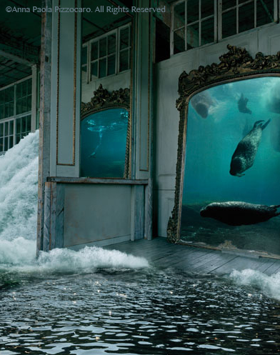 Phillips Collection in Washington D.C. (2014) in June 2014, Anna Paola Pizzocaro's work "On the other side of the mirror" is added at the permanent collection of the Phillisp Collection in Washington D.C. 1600 21st St NW,Washington,DC 20009