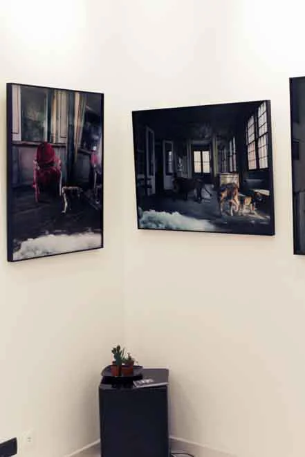 February 04-March 20, 2012 - Shots Gallery, Piazzetta del Santuario dell'addolorata 2/d, Borgo Santa Caterina, 24121 - Bergamo - Italy.