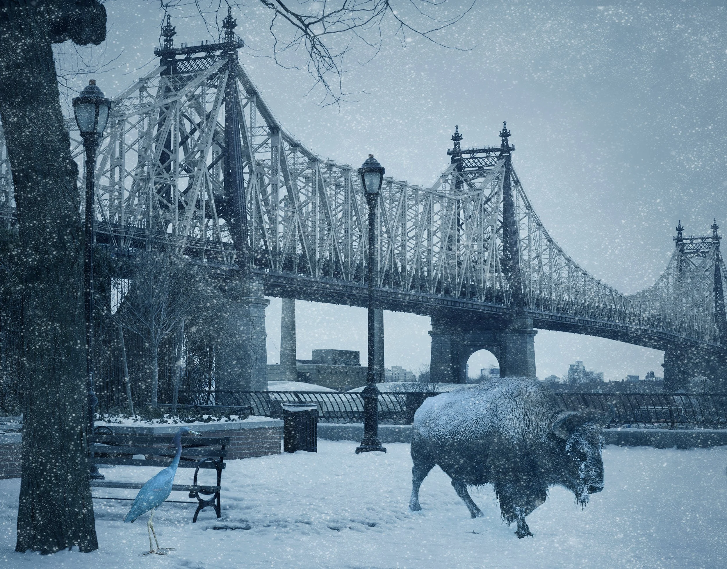 Sutton_Bisonte_AnnaPaolaPizzocaro copy.jpg