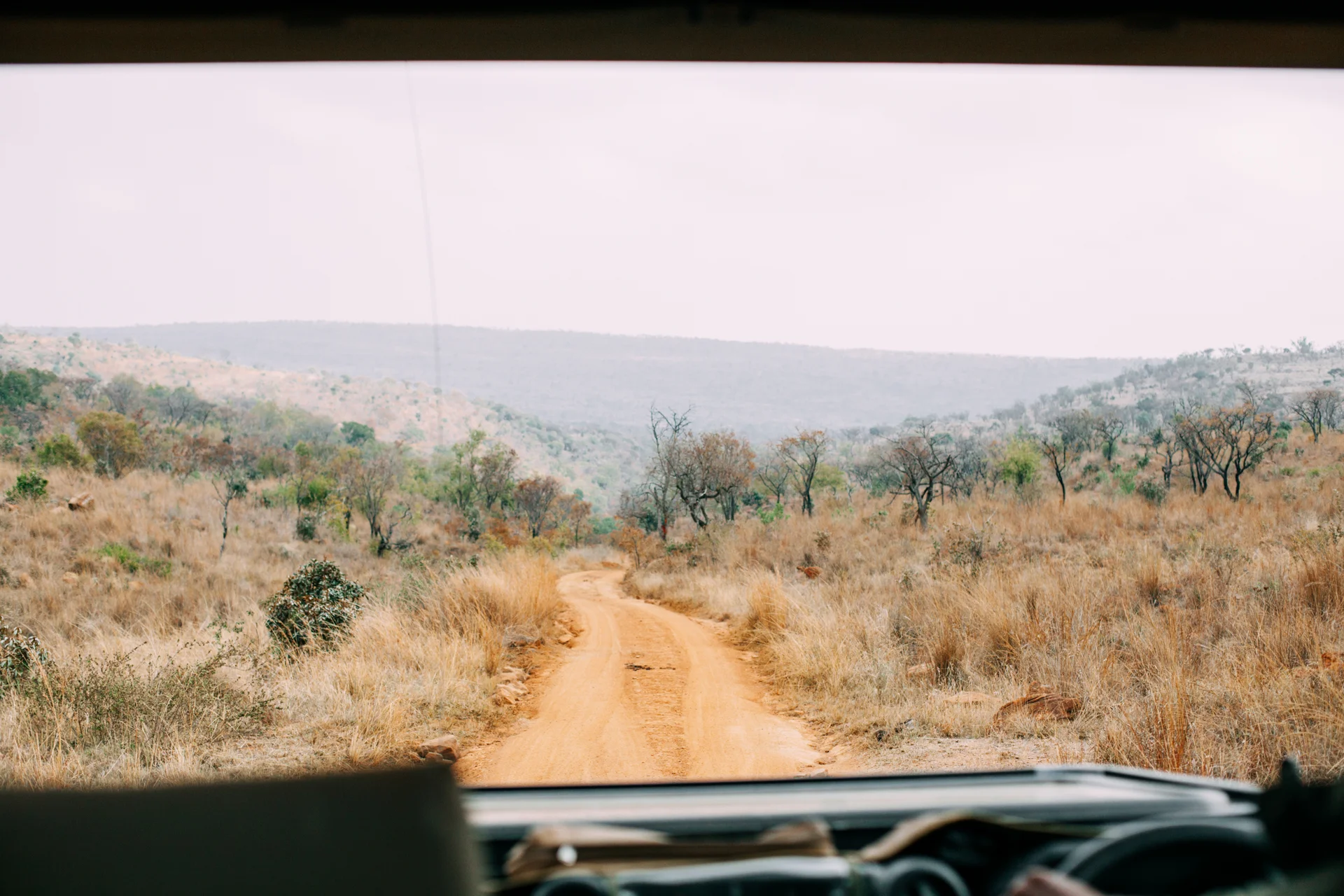 AFRICAN ADVENTURE: There’s nothing like being surrounded by bush for miles, as far as the eye can see. I can understand why people say that Welgevonden is such a special place!