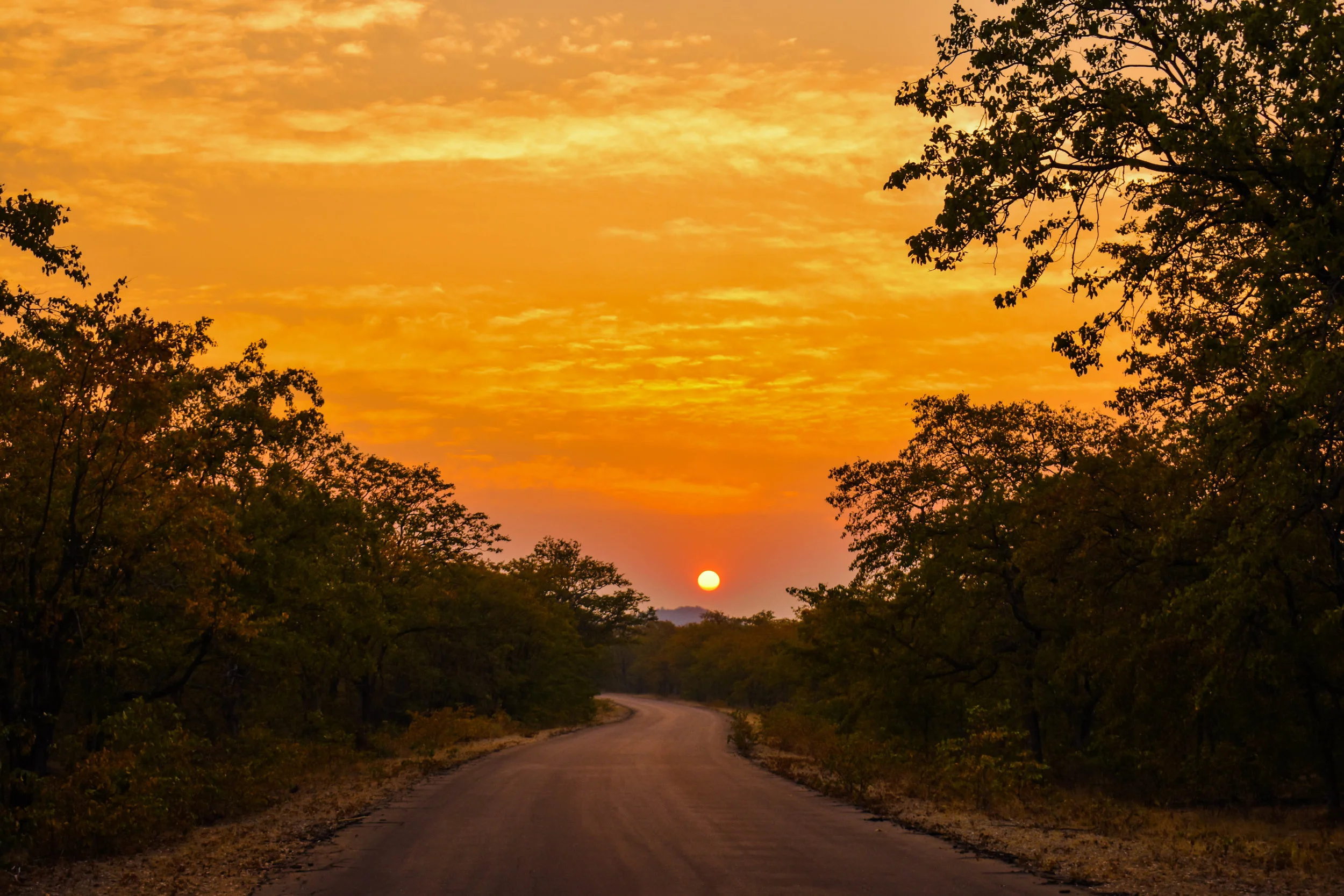 GOOD MORNING: We are lucky to start our morning like this almost every day.