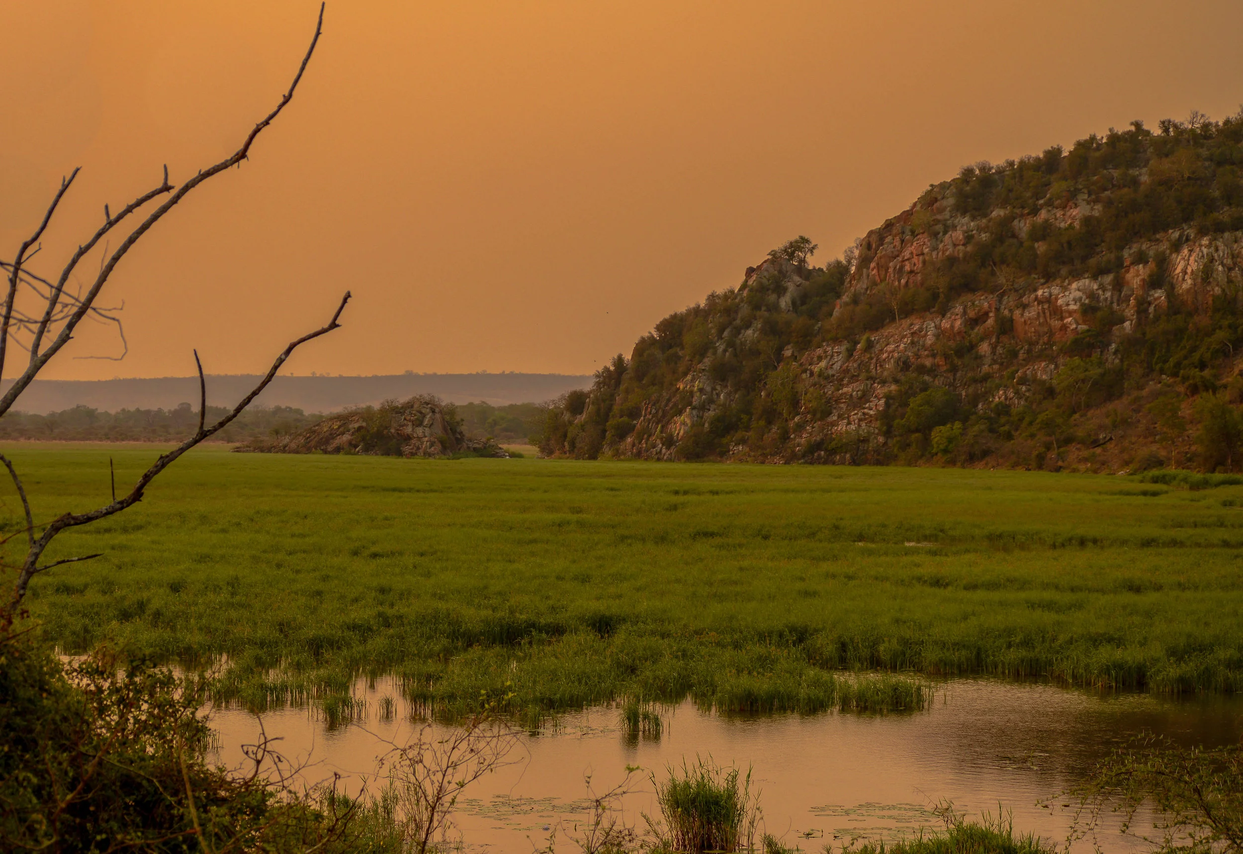 SUMMER RAINS: As we head into the wetter summer months, we will see our floodplains grow, bringing a host of new life to the area.