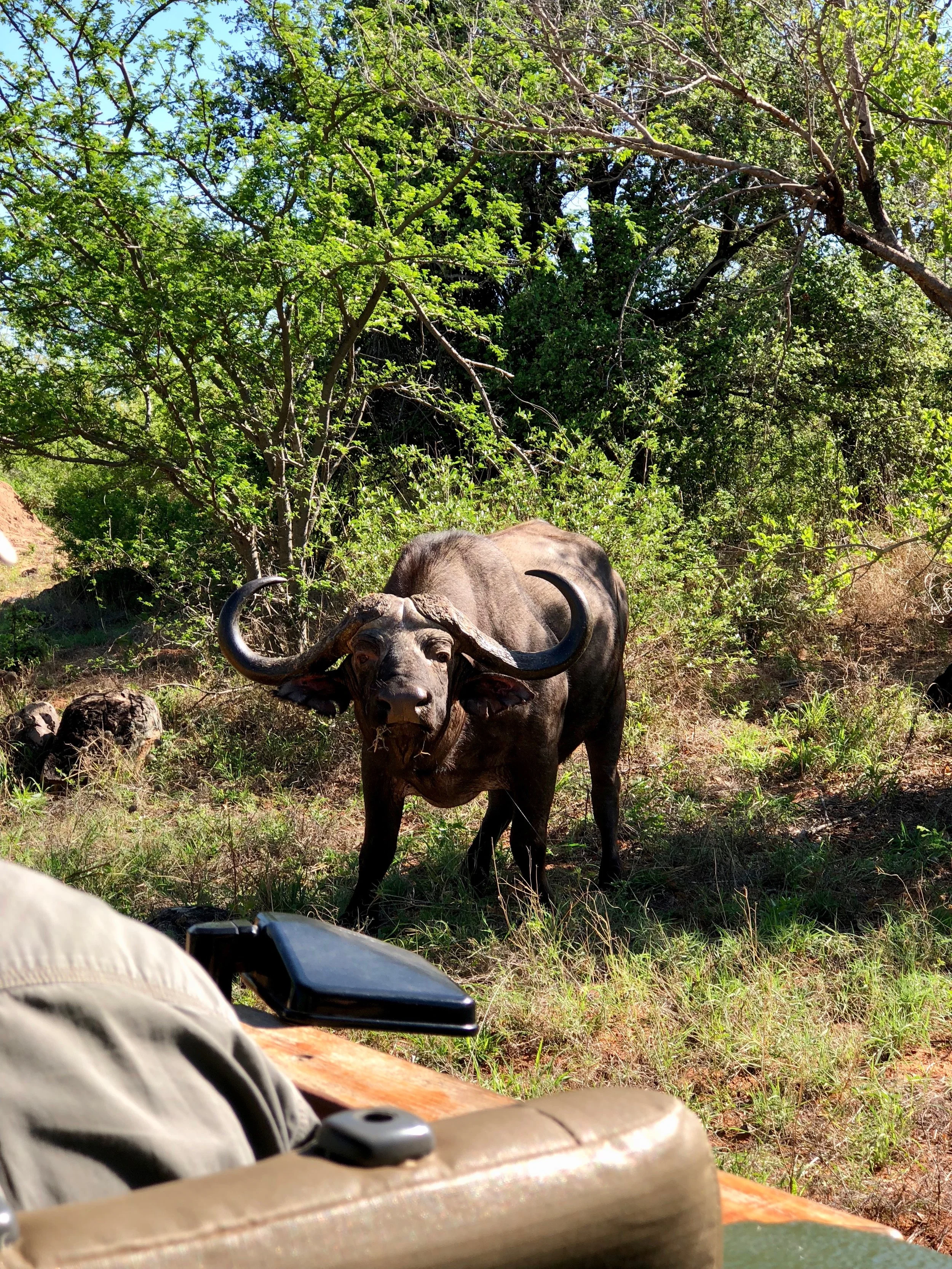 A day in the life of field guide Dean Oelofse - Rare Earth