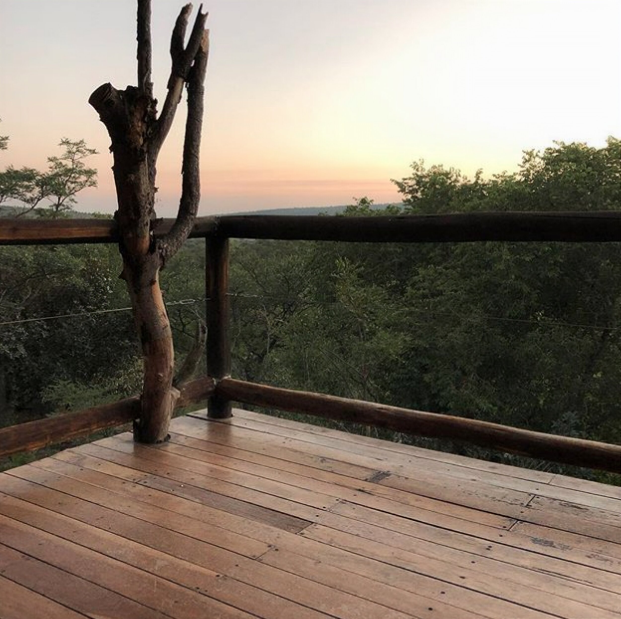 A peaceful sunrise, captured by @consciouscollab from their suite at Tshwene Lodge.