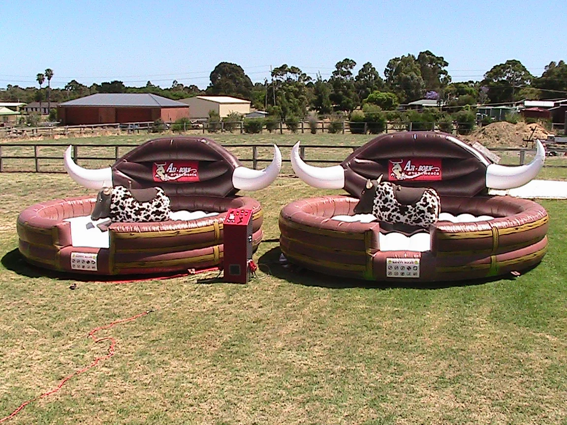 TWIN BULLS $880 (3 hour metro hire) including operator