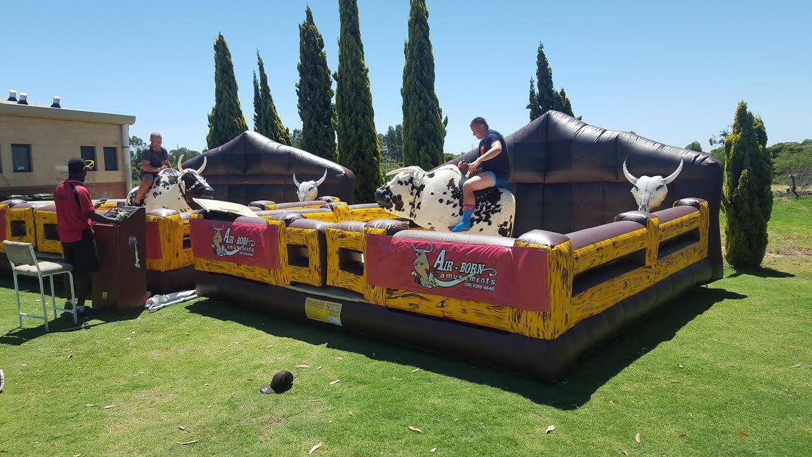 Deluxe Single Bull $595 Deluxe Twin Bulls $990 (3 hour metro hire) including operator