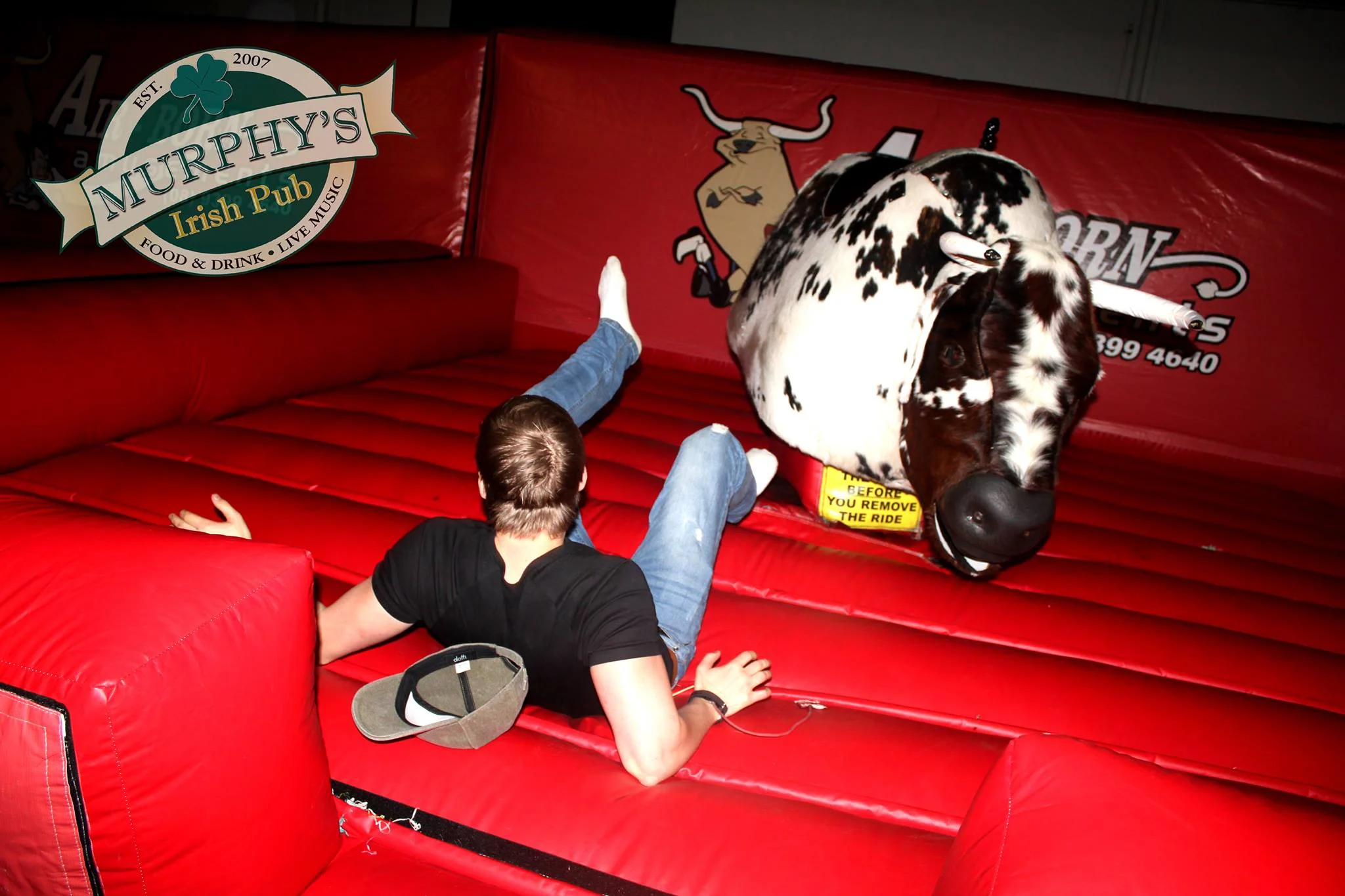 Twin Deluxe Bulls Murphy's 1.jpg