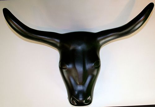 Lasso the Longhorn head.jpeg