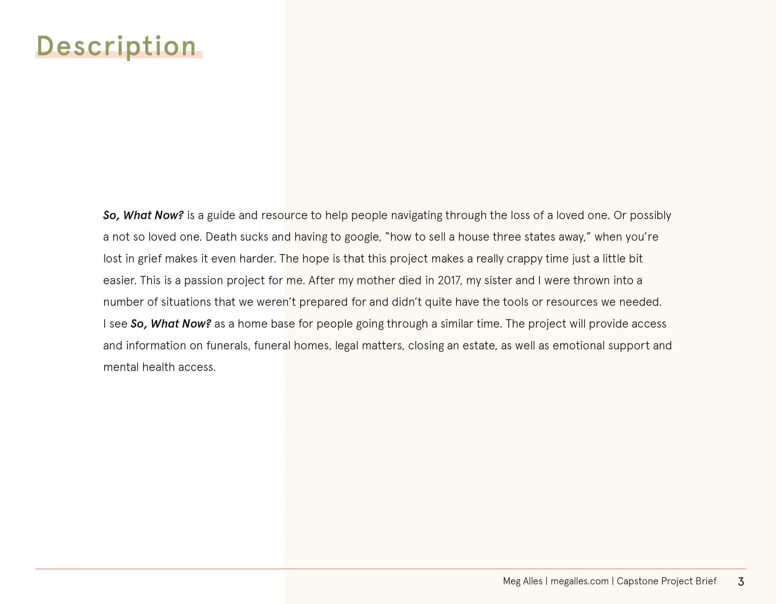 So What Now Project Brief v23.jpg
