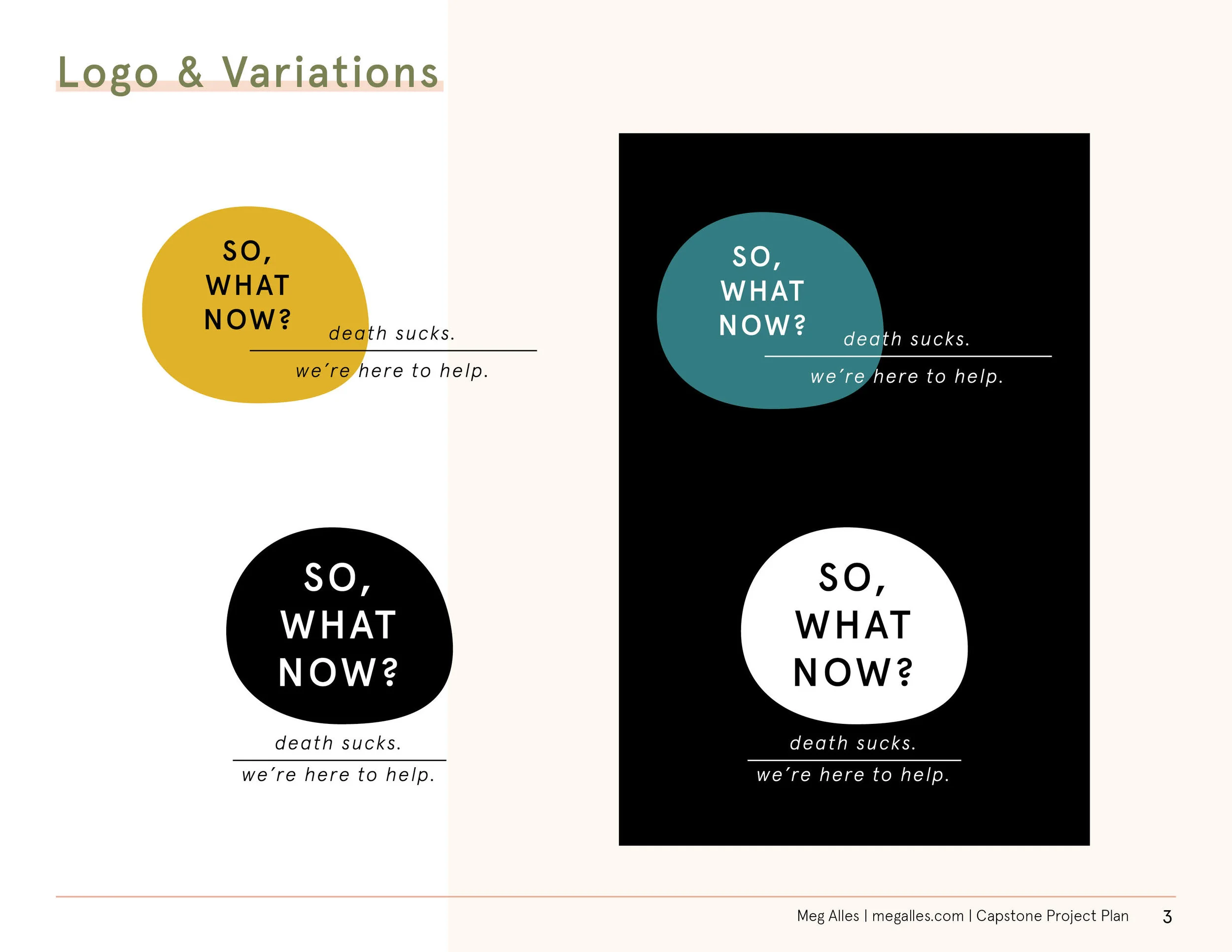 So What Now Proof of Concept3.jpg