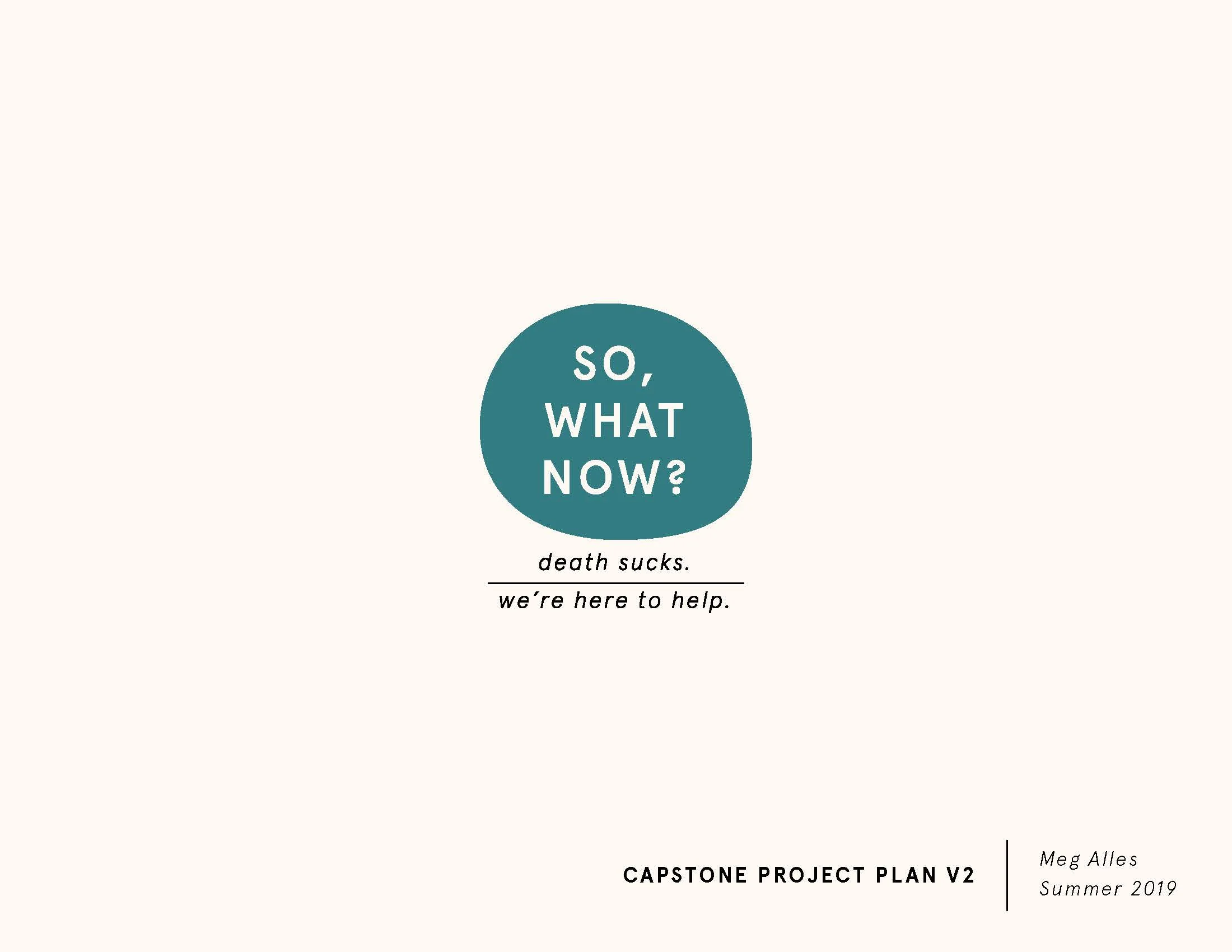 3p So What Now Project Plan V2 6-27_Page_1.jpg