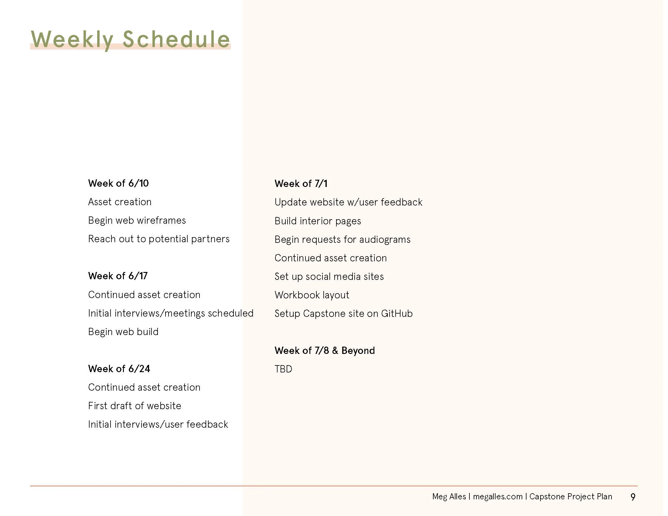 3p So What Now Project Plan V2 6-27_Page_3.jpg