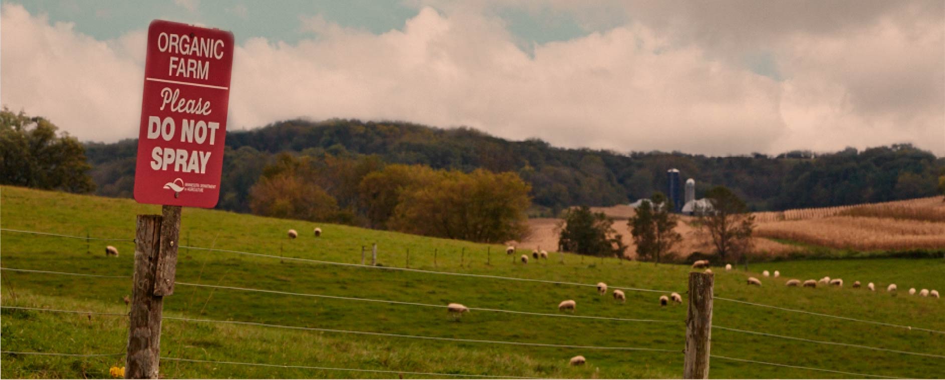 RockFilter grains are grown on a certified organic farm. No pesticides, herbicides, or fungicides because the best grain makes the best whiskey.