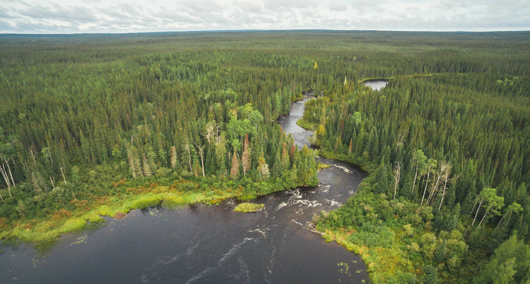 Safeguarding Canadian Wilderness: Coastlines, Forests, Freshwater, Grasslands, Oceans & Watersheds