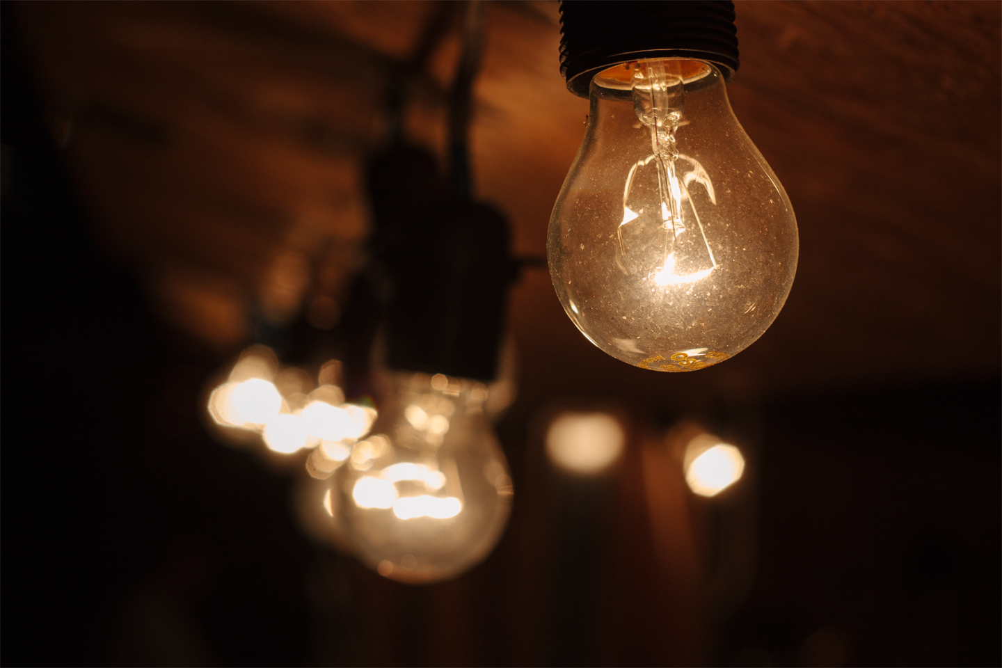 bulbs.png