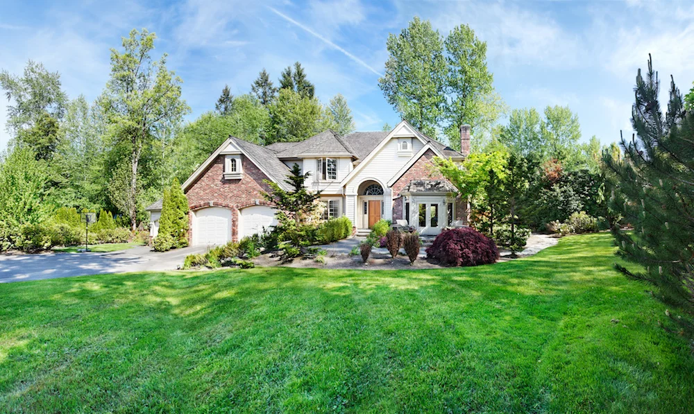 Best Fertilization Schedule for Your Lawn in Poughkeepsie NY