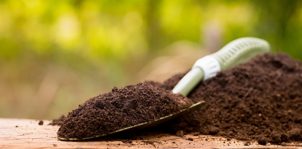 4 Advantages of Organic Fertilization in Hopewell Junction NY