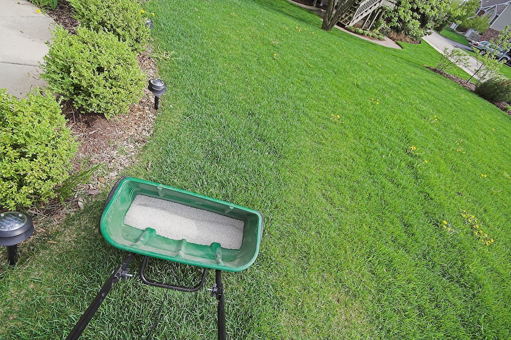 Why You Should Hire a Lawn Fertilization Expert to Take Care of Your Lagrangeville, NY, Property Instead of DIY