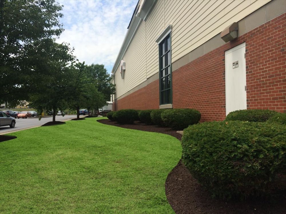 How to Prevent Storm Damage with a Professional Tree Service in Poughuaq, NY