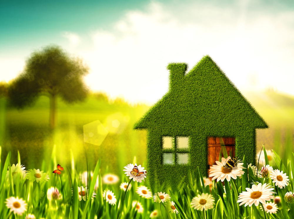 How Lawn Fertilizer Service Can Add Curb Appeal to Your Poughkeepsie, NY, Property