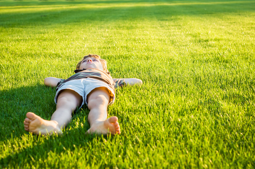 Invest in Regular Lawn Maintenance Service for a Carefree Summer in Pleasant Valley, NY