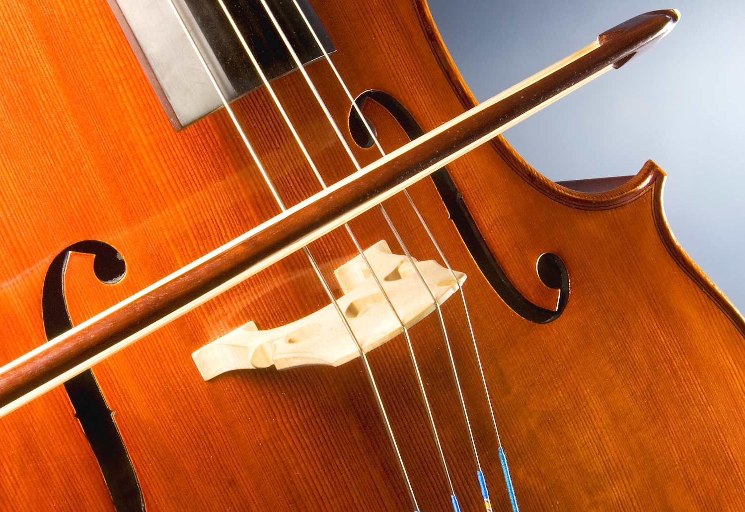 Cello_study.jpg