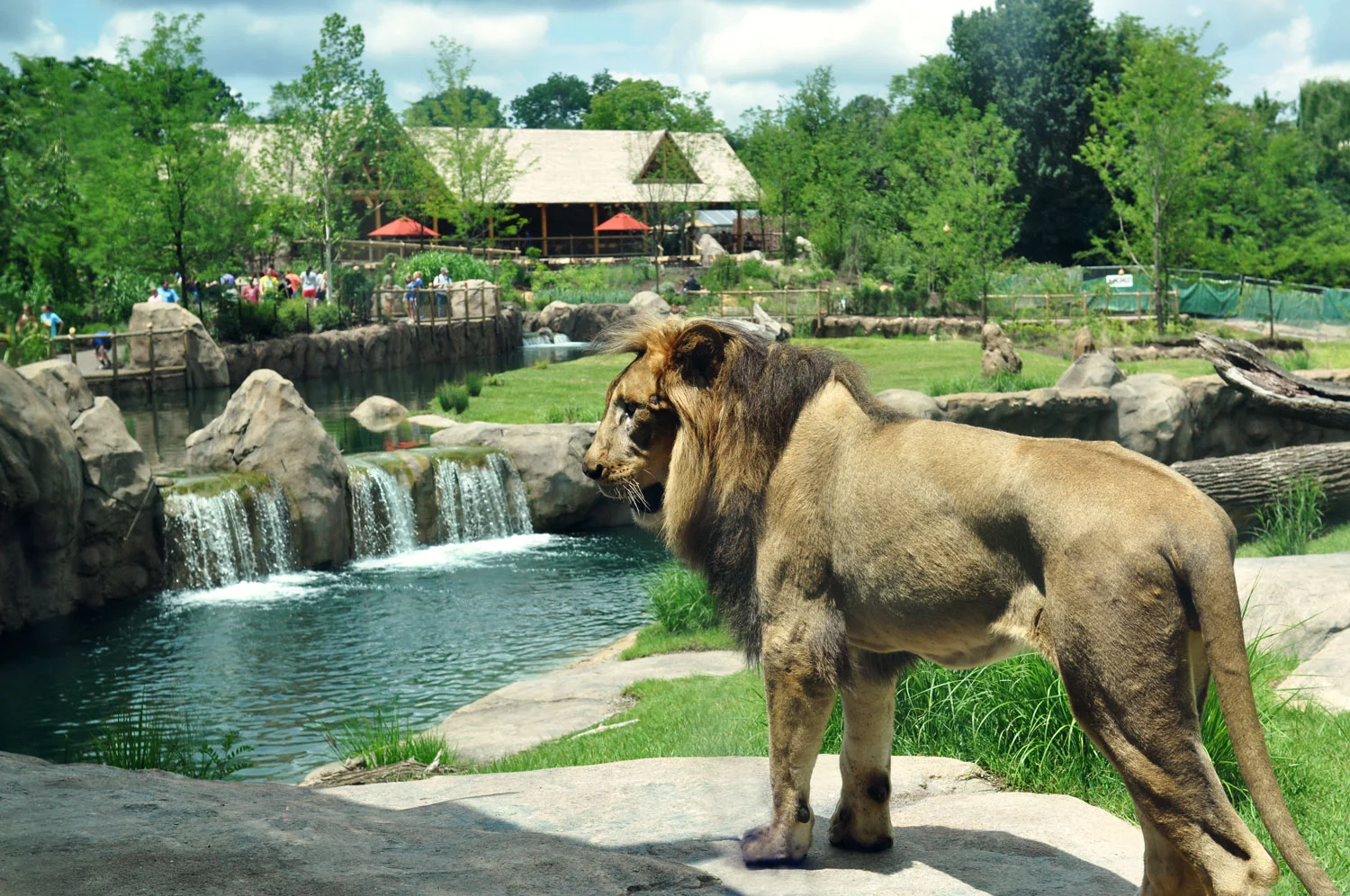 Zoo.CreditKathyNewtonW.jpg