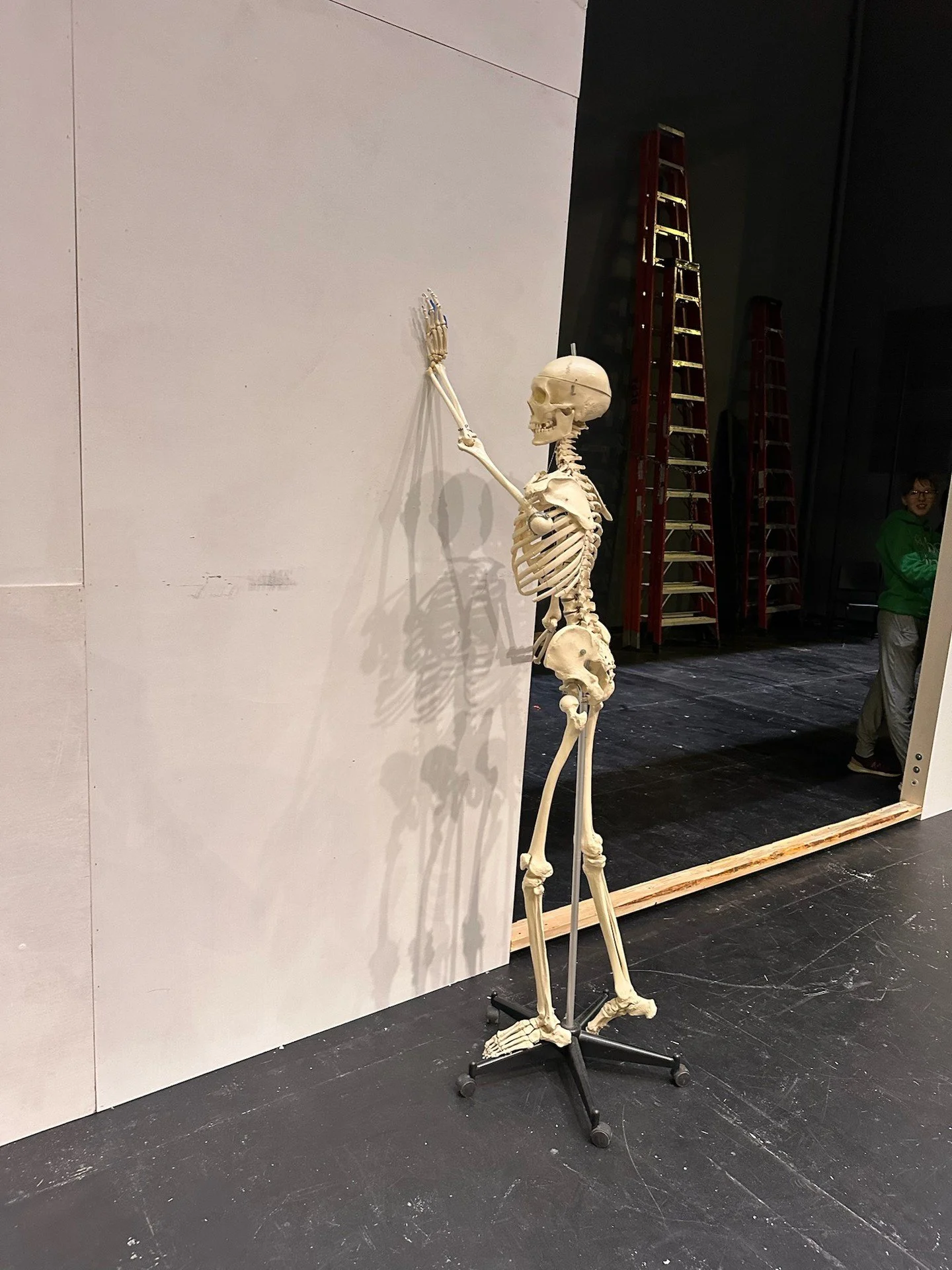 This guy&rsquo;s been &ldquo;helping&rdquo; with set build for years 😄💀
But the real credit goes to our incredible students and volunteers who are doing the heavy lifting behind the scenes 🔨✨

🎟️ https://brightonmusical.com/
🎭 Frozen: March 13&n