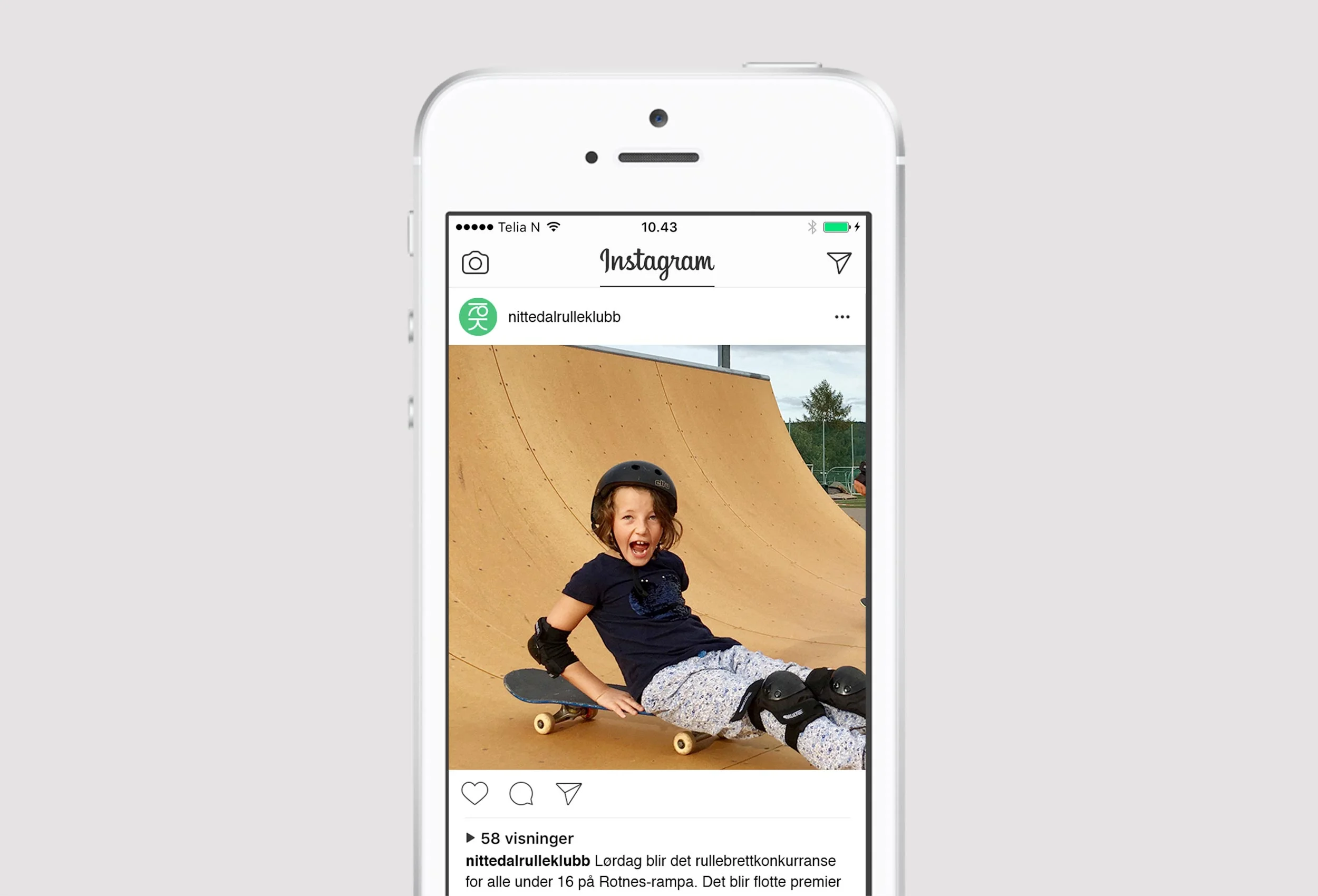 Dyreikonene er satt sammen av sirkelformer og linjer – og med mer eller mindre synlige skaterelaterte elementer.