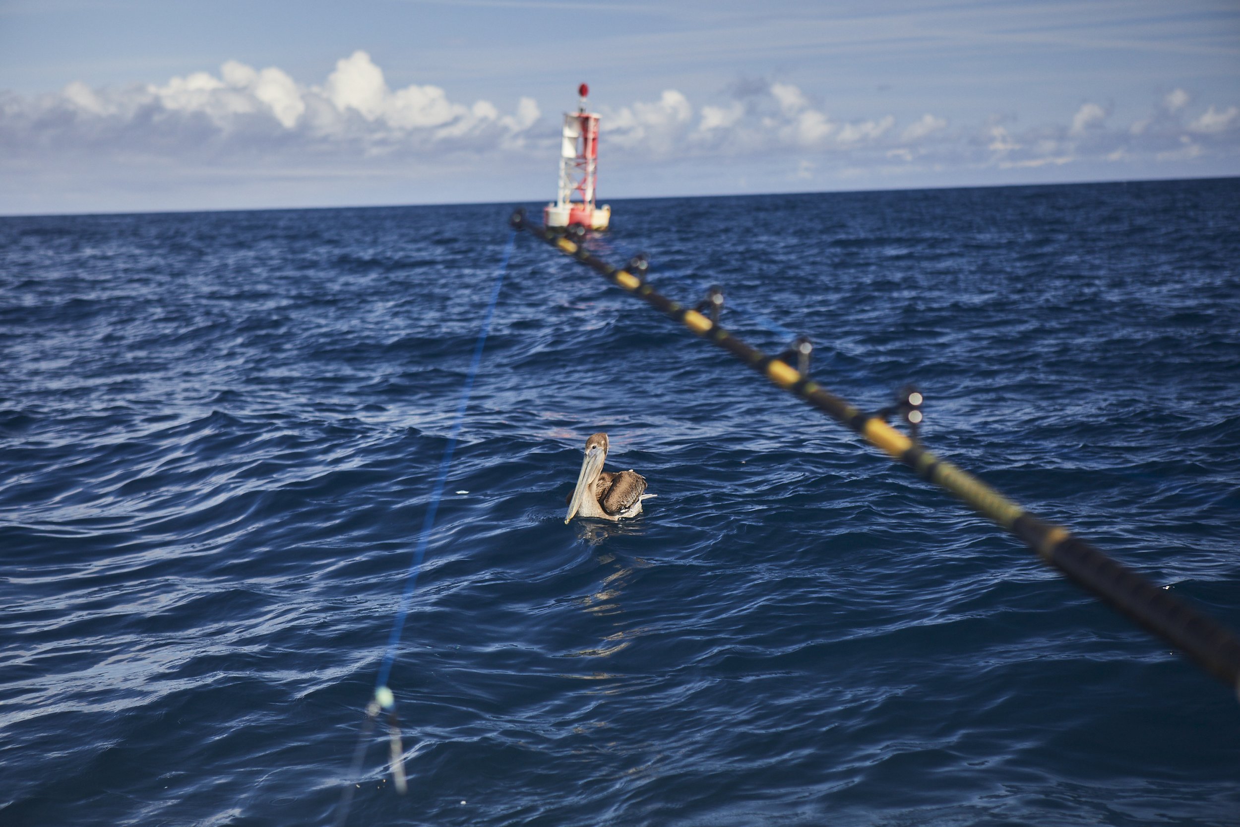 Gill_Fishing_2022_Florida-0671.jpg