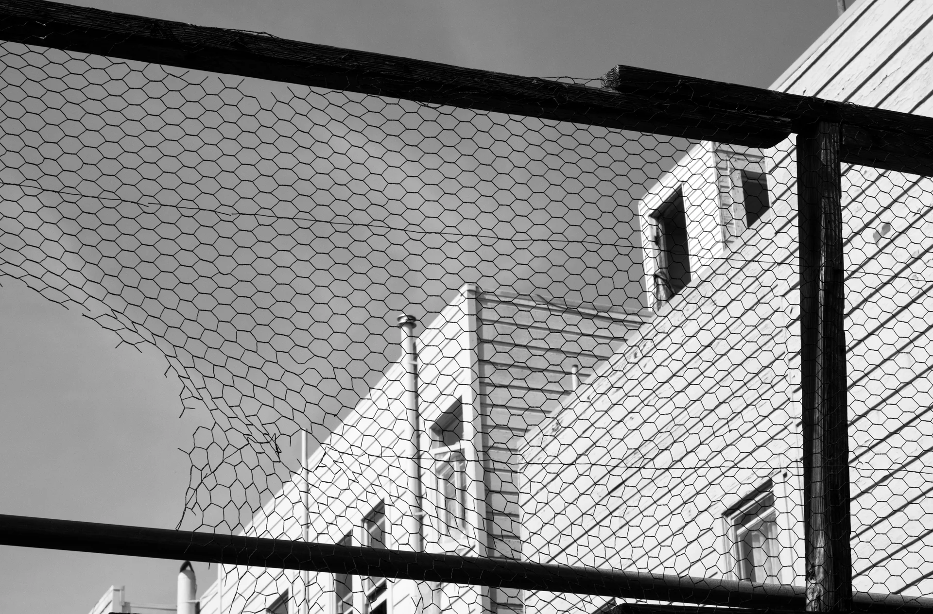 Fence pattern.jpg