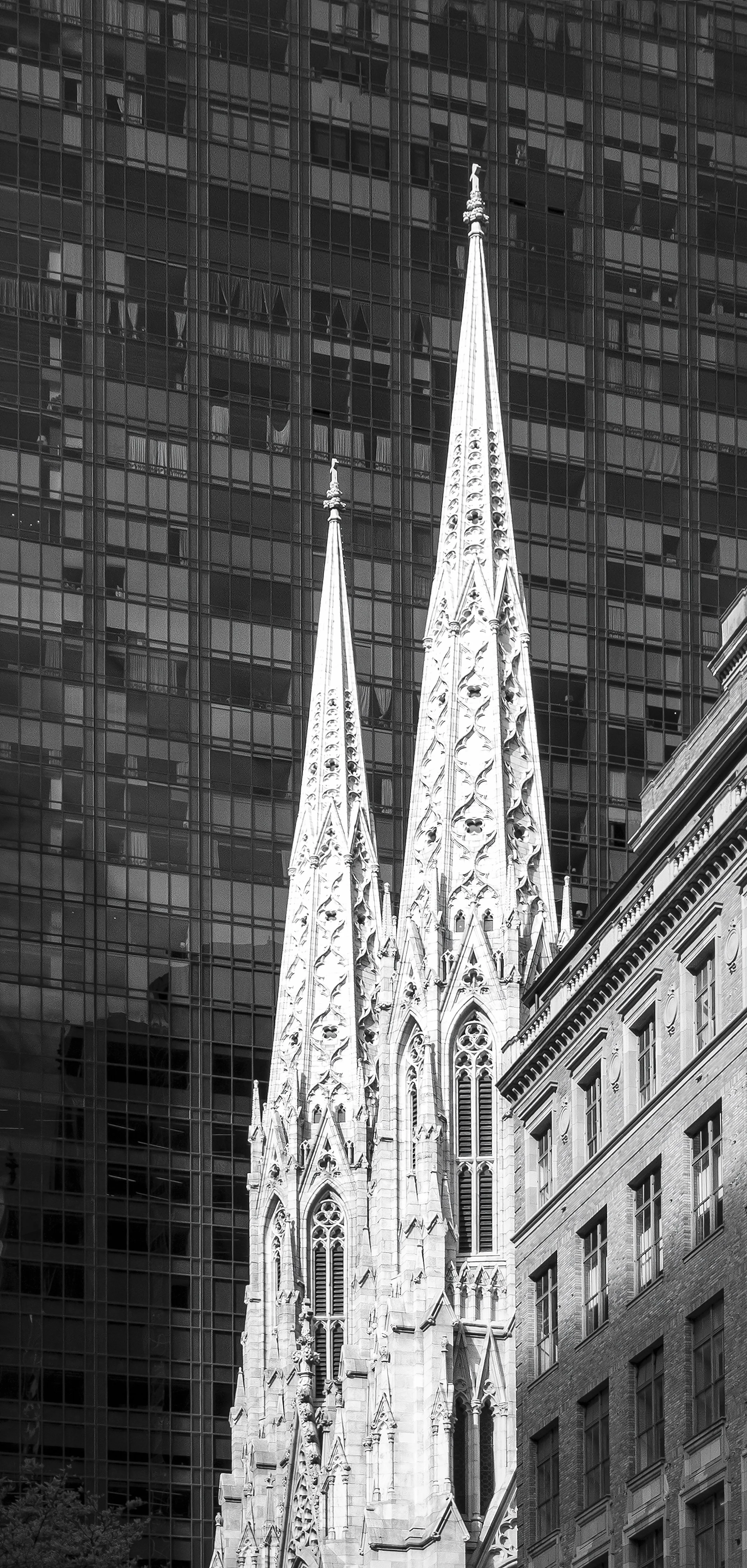 Contrast-1.jpg