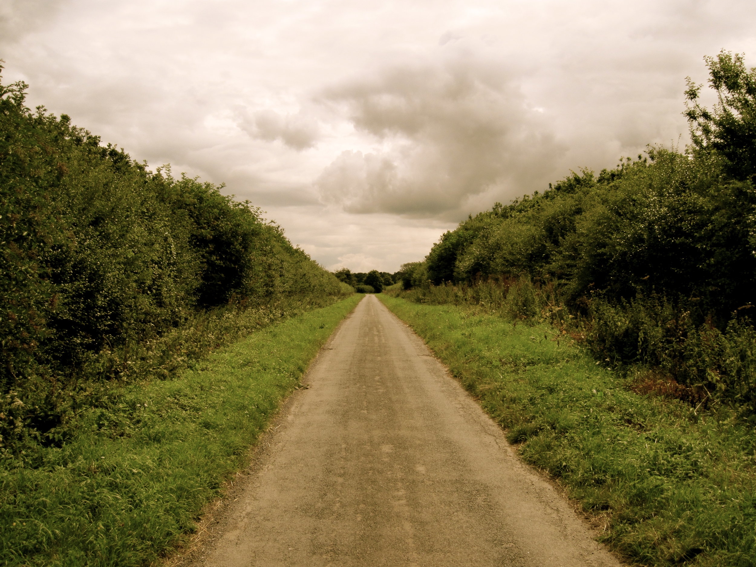 Appleton road to Nun Appleton.JPG