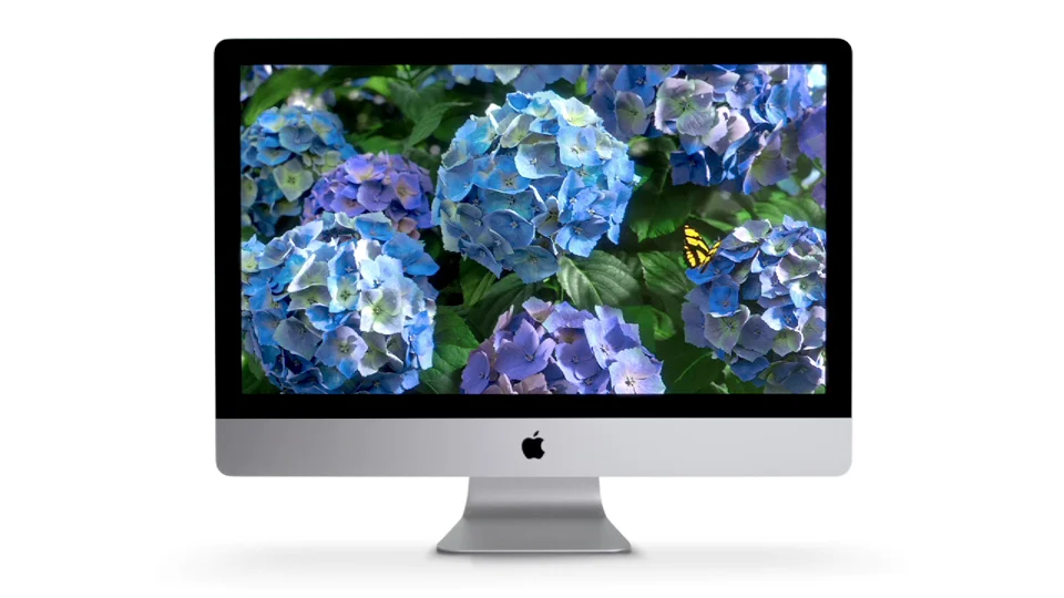 apple2.jpg