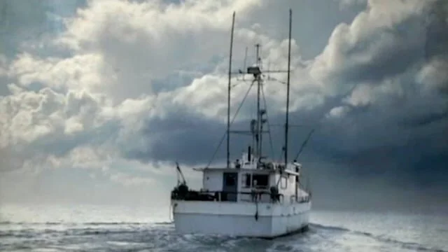 Modest Mouse "Dashboard"