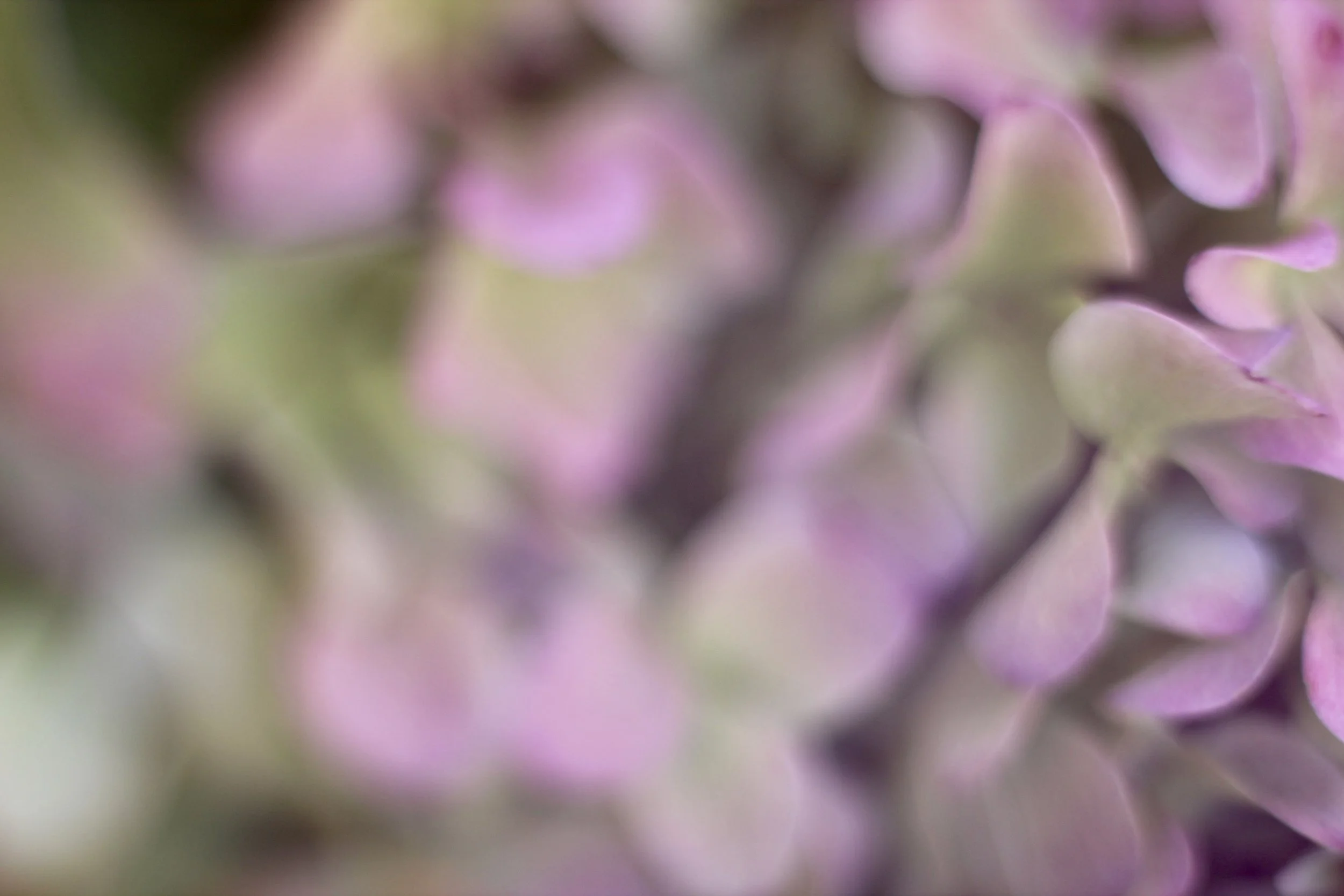 This shot evokes such a dreamy mood, doesn't it?