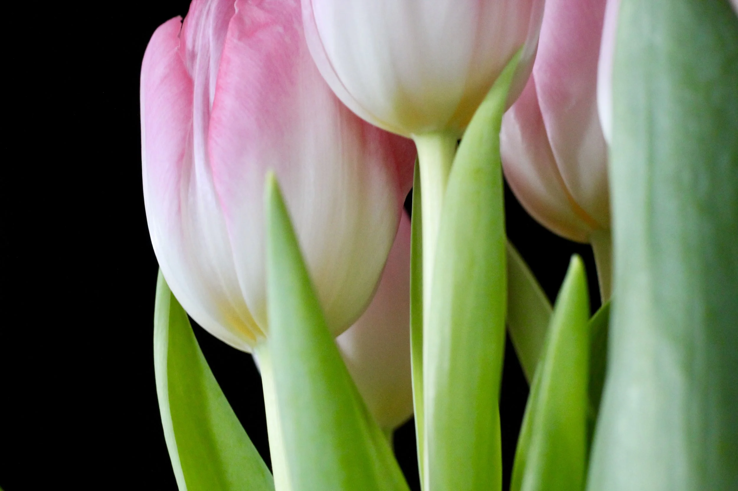 Love shall be our token. Love be yours and love be mine. ~Christina Rossetti