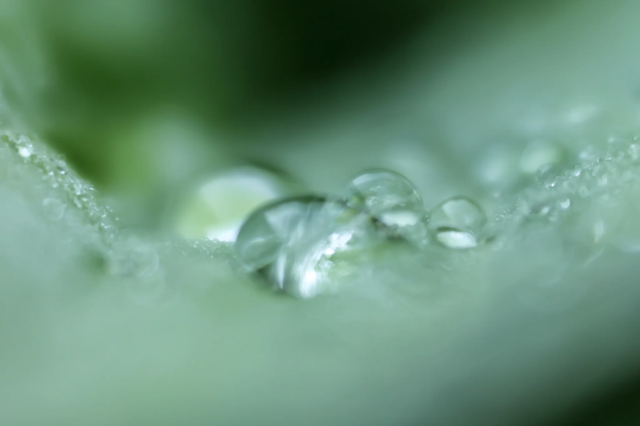 After the Rain.jpg
