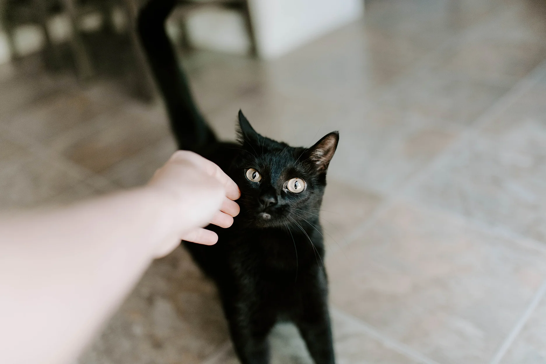 MeahganDrewElopement2019-3.jpg