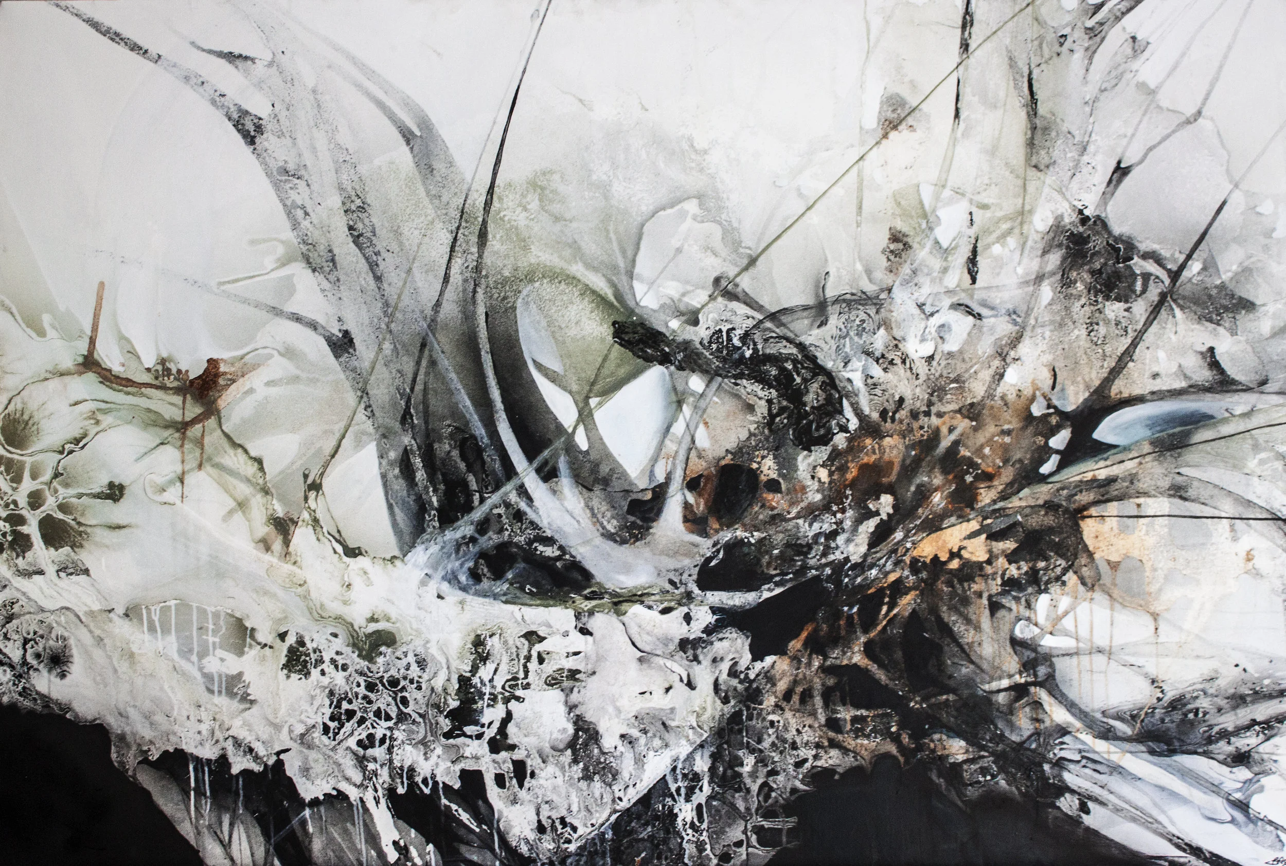 "Storm bloom"