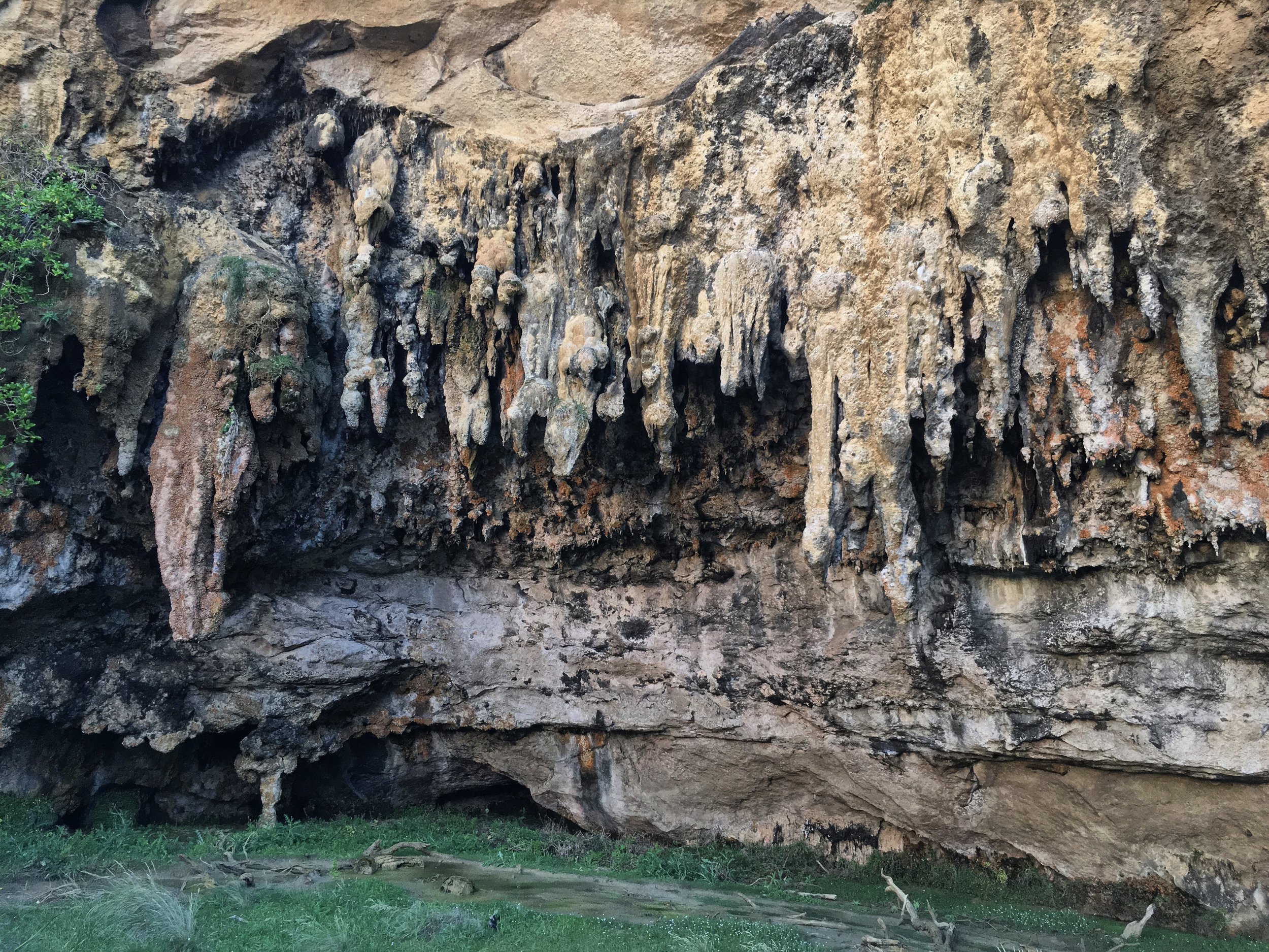 Loch Ard Gorge  